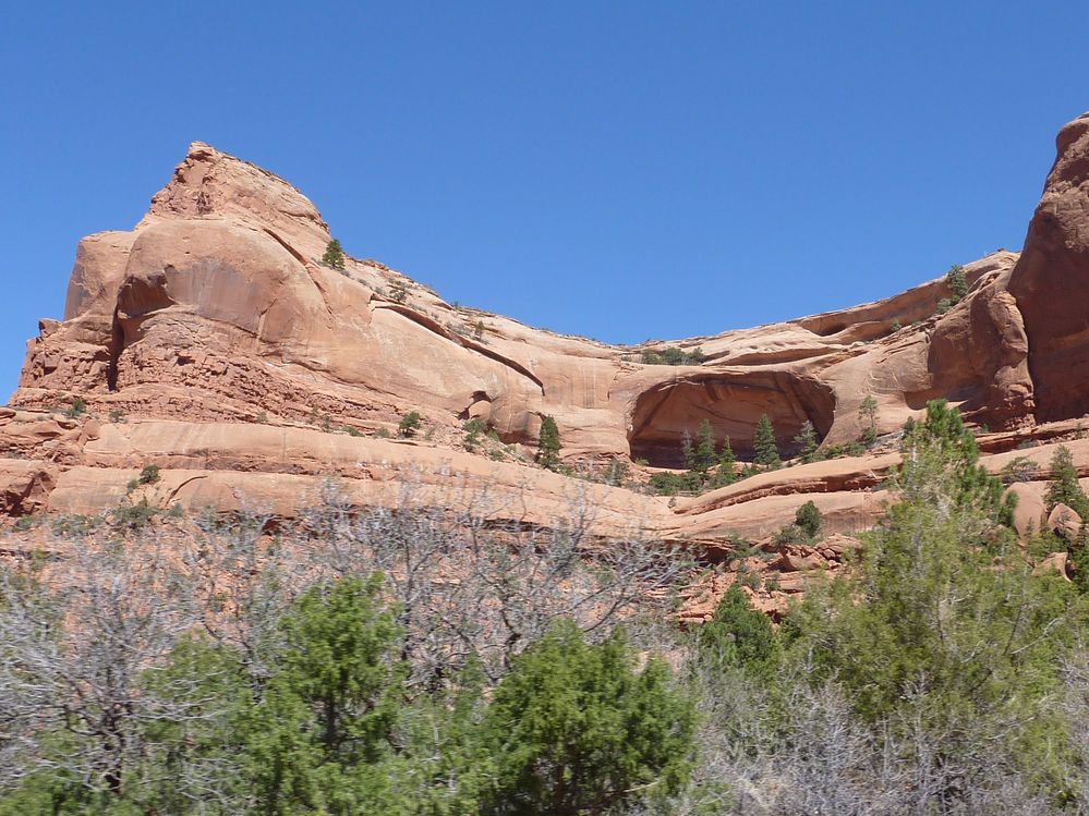 route entre Chelly et Mesa verde (7).JPG